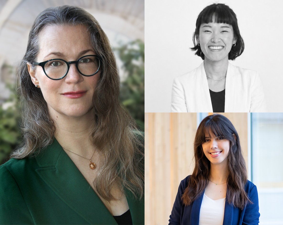 Meet the TOCW Newsletter Team