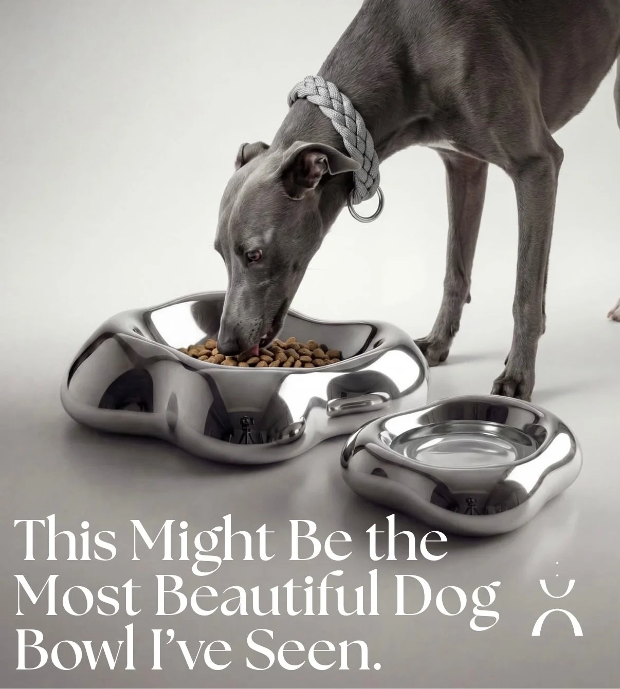 Scrolling through my explore page looking for design inspiration and suddenly this stopped me. Not a chair, not a sculpture&hellip; a dog bowl. But the form immediately caught my eye.

The shape feels almost architectural&hellip;soft curves, elevated