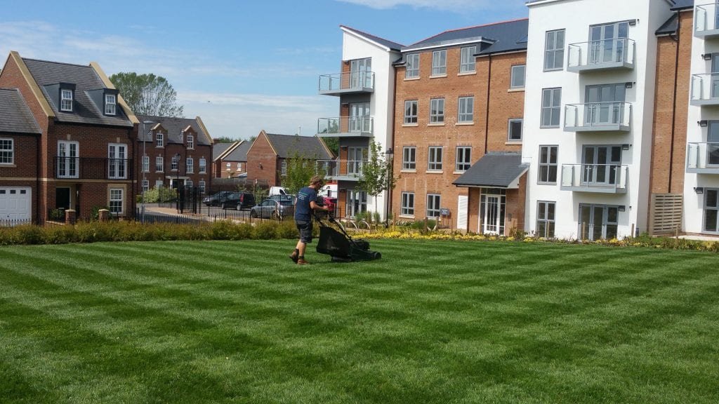 Lawn care