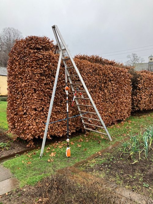 Hedge cutting