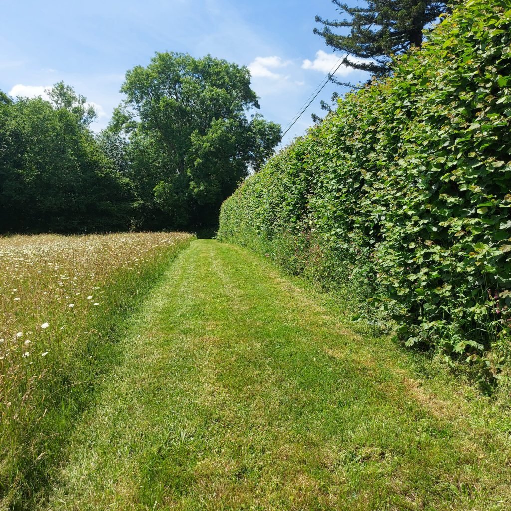 Paddock maintenance