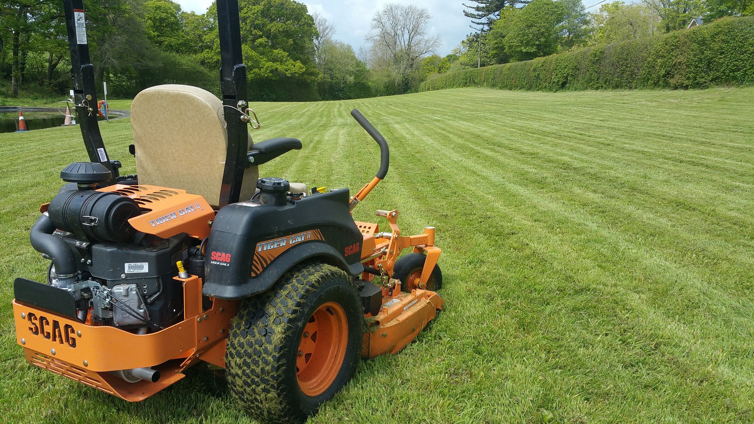 Grass cutting