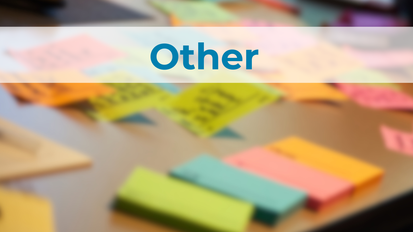 Other miscellaneous service opportunities