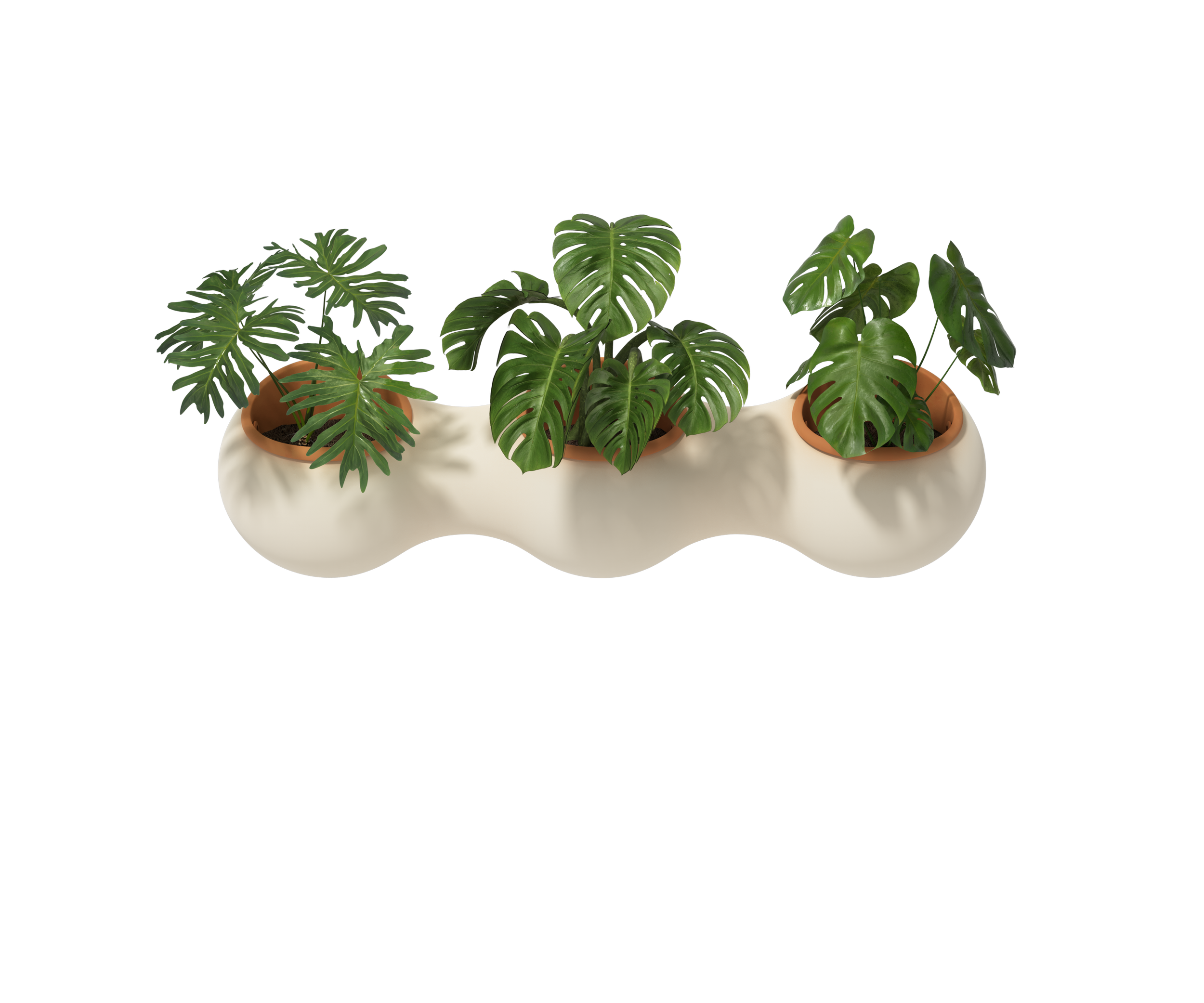 Nuage - white & terracotta pots - 03 - plants.png