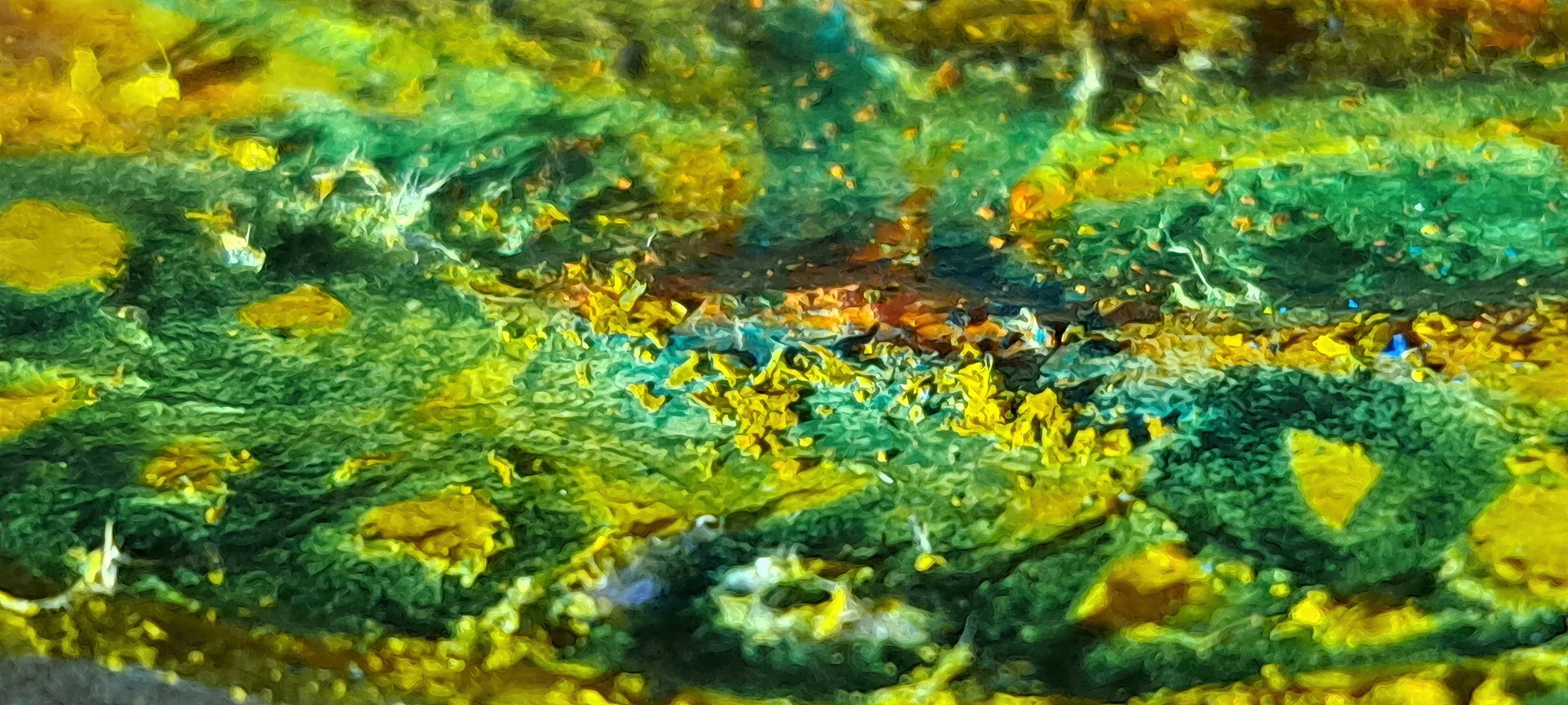 Tangled Veil (PV28) – Limited Edition Nature inspired Giclée- PureHue