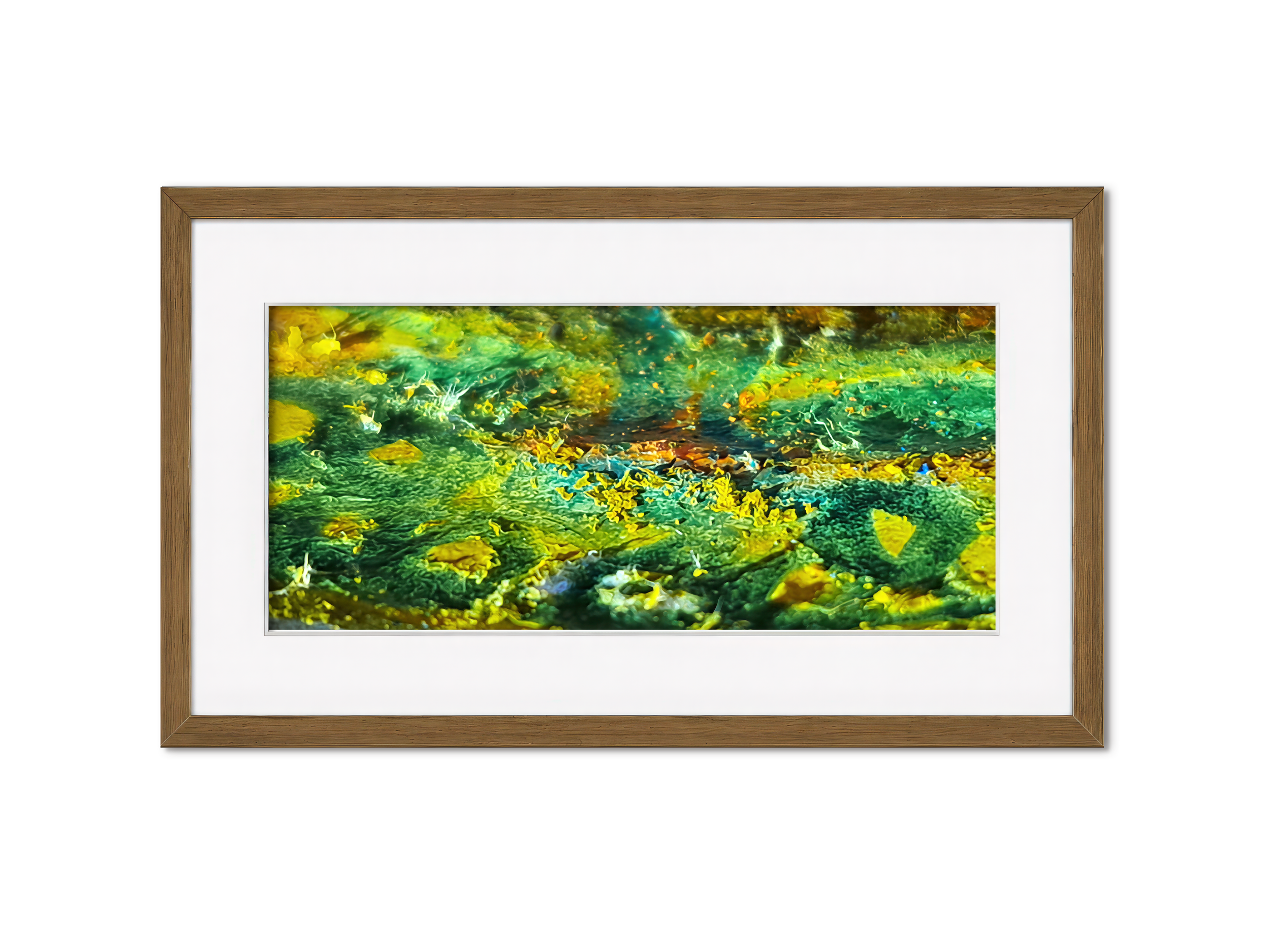Framed Tangled Veil (PV28) – Limited Edition Nature inspired Giclée- PureHue
