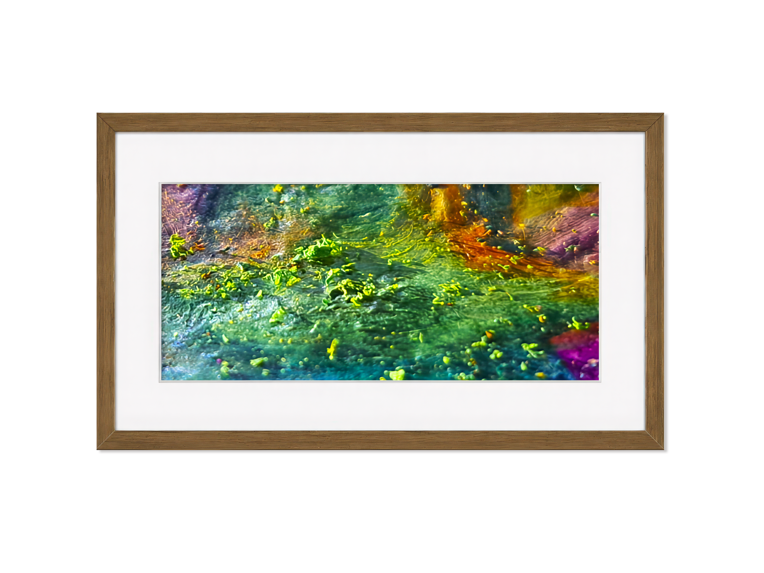 Framed PT18 The Nightingale's Thicket – Edition Nature inspired Giclée- PureHue