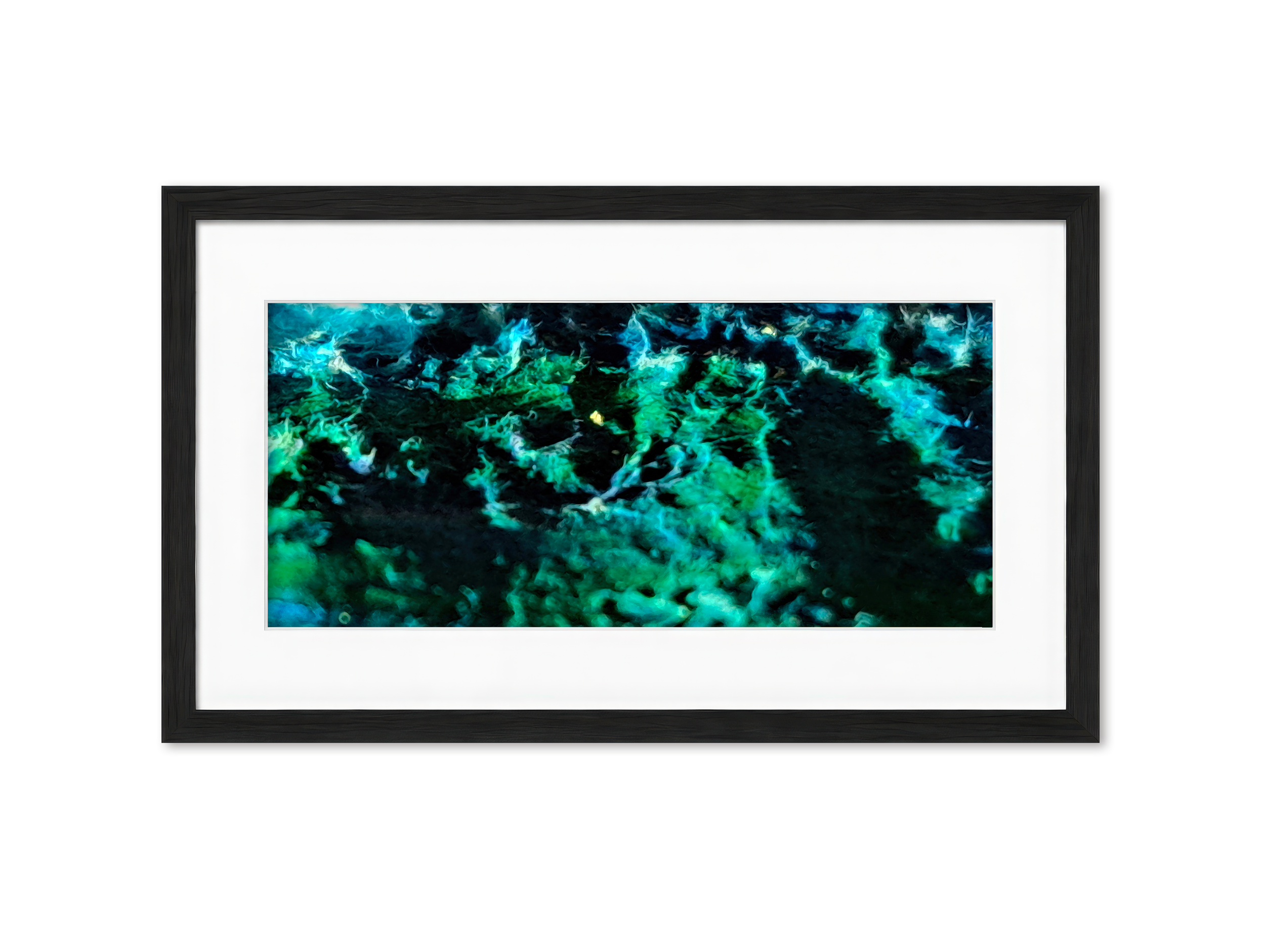 Framed Nocturnal Canopy (PV06)– Limited Edition Nature inspired Giclée- PureHue