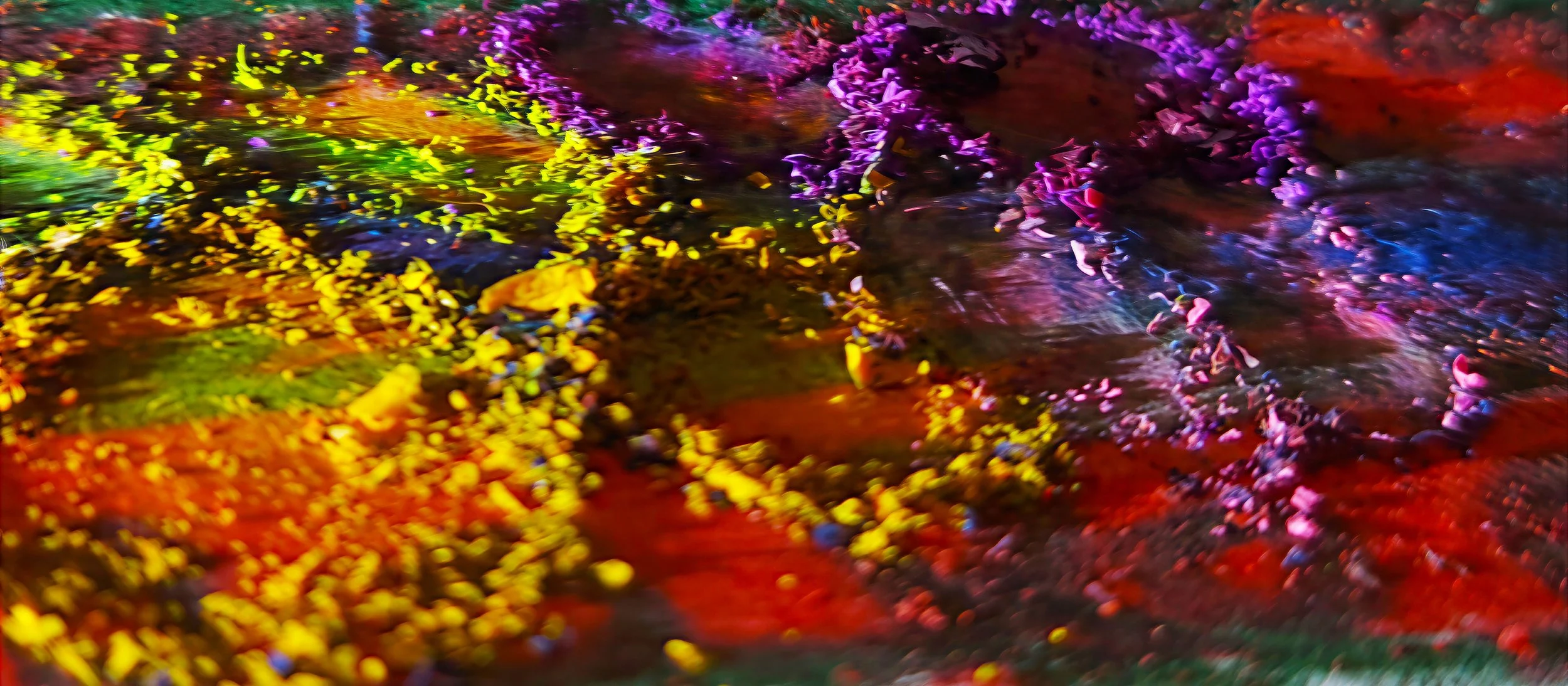 PT09 Scattered Petals -Nature inspired Giclée- PureHue