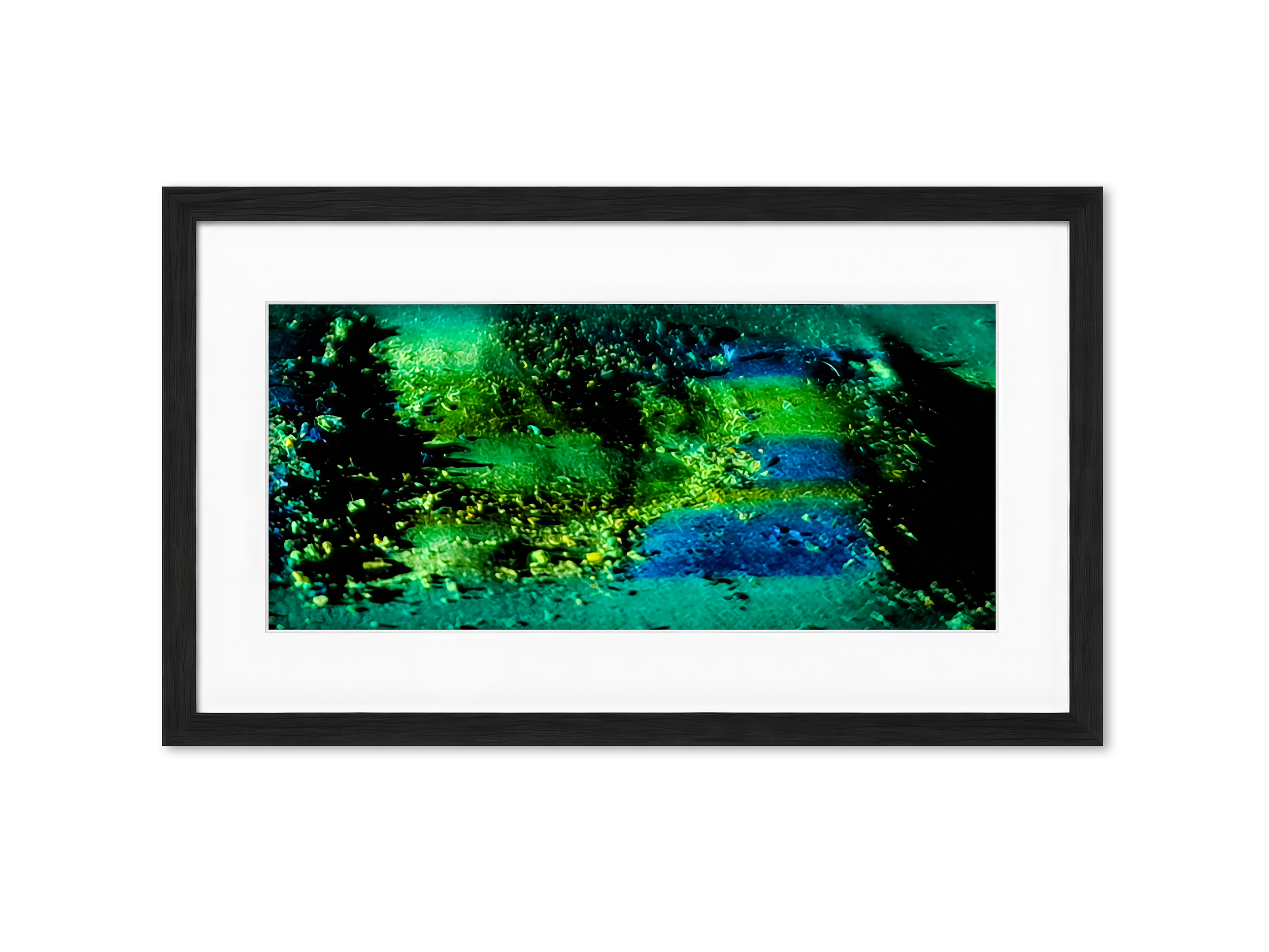 Framed Lichen World (PV19)– Limited Edition Nature inspired Giclée- PureHue