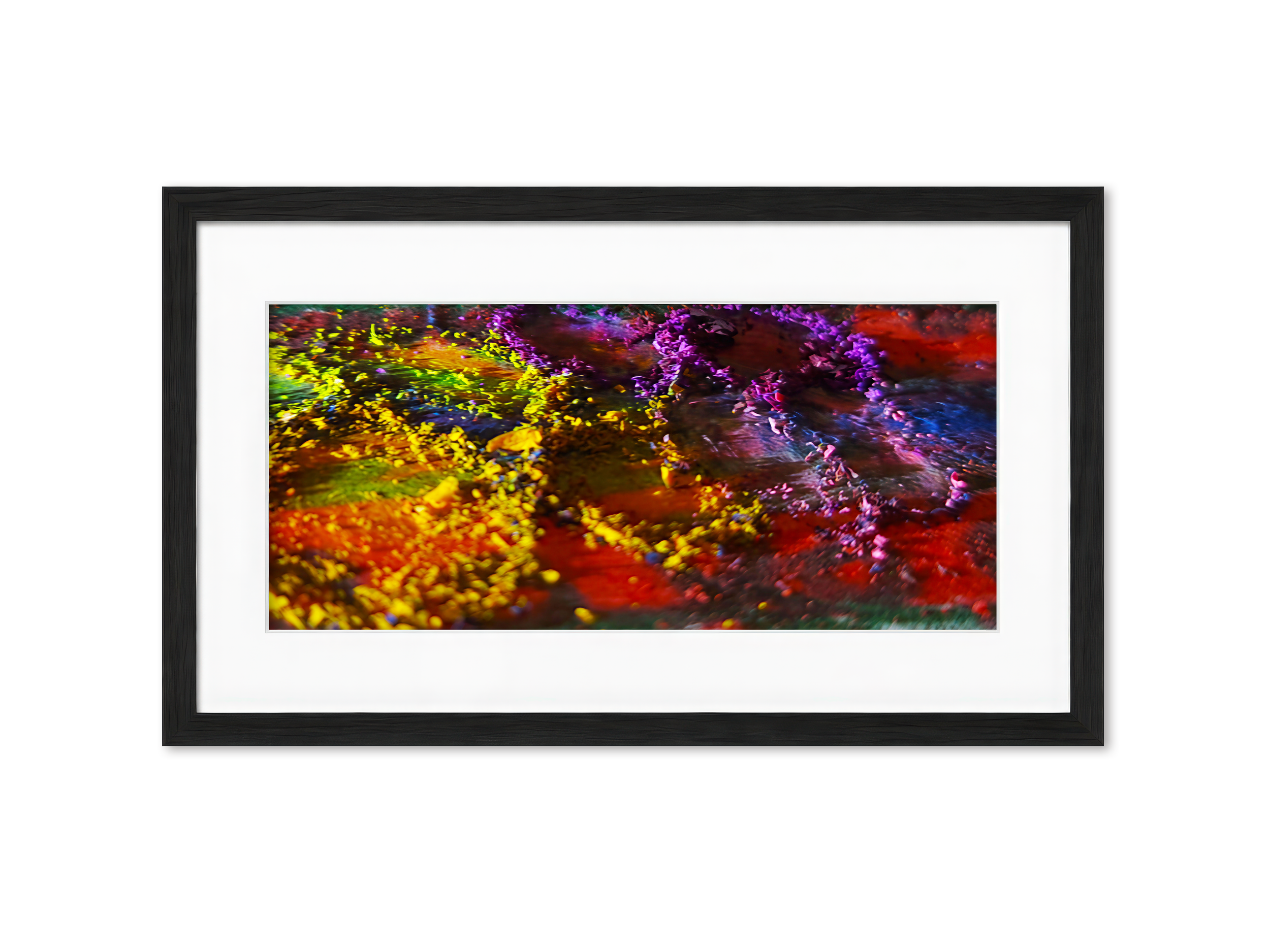 Framed PT09 Scattered Petals  -Nature inspired Giclée- PureHue