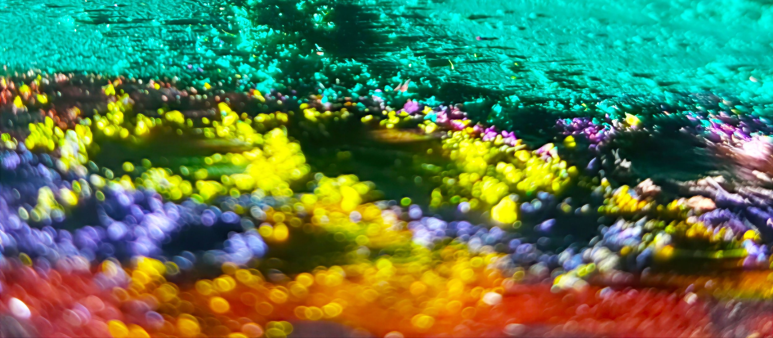 PT10 The Green Threshold – Edition Nature inspired Giclée- PureHue