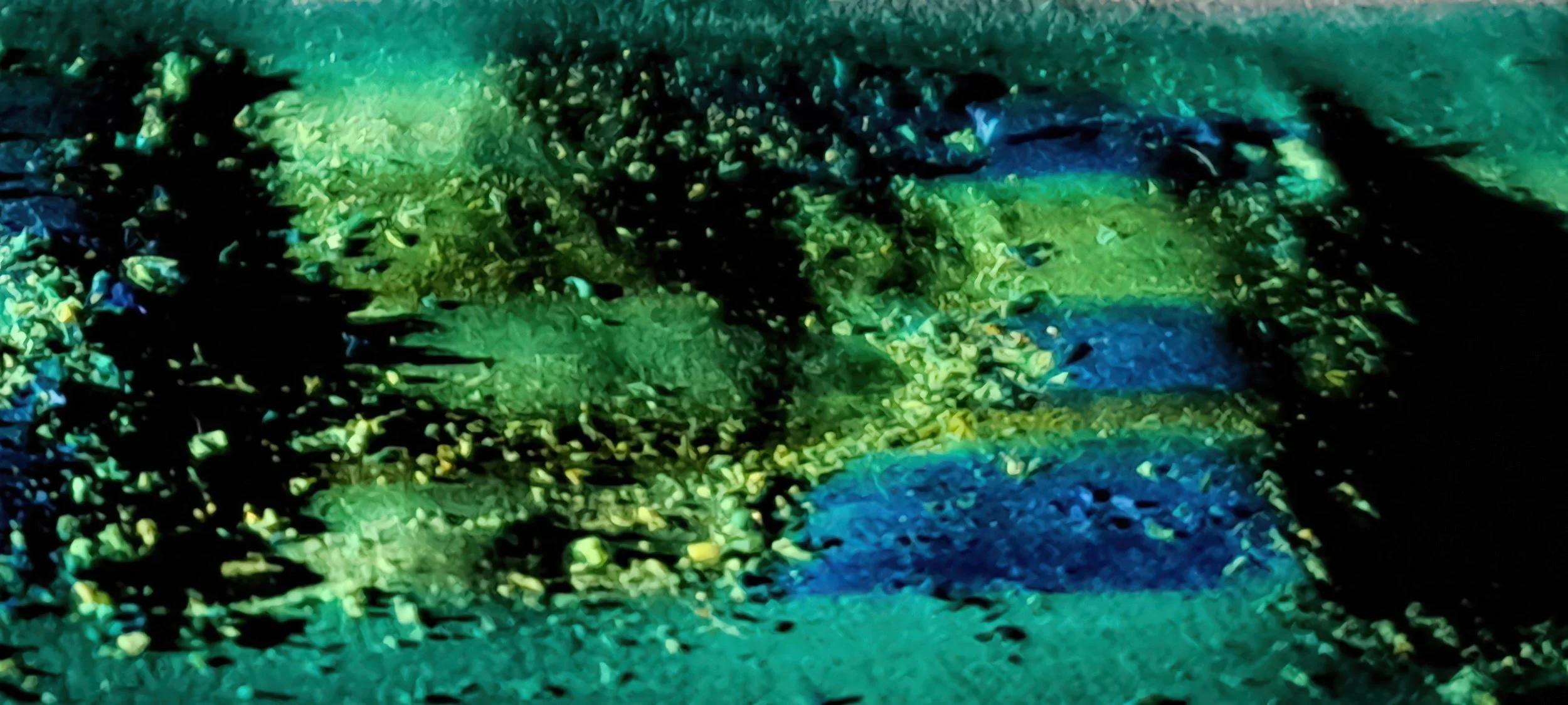 Lichen World (PV19)– Limited Edition Nature inspired Giclée- PureHue