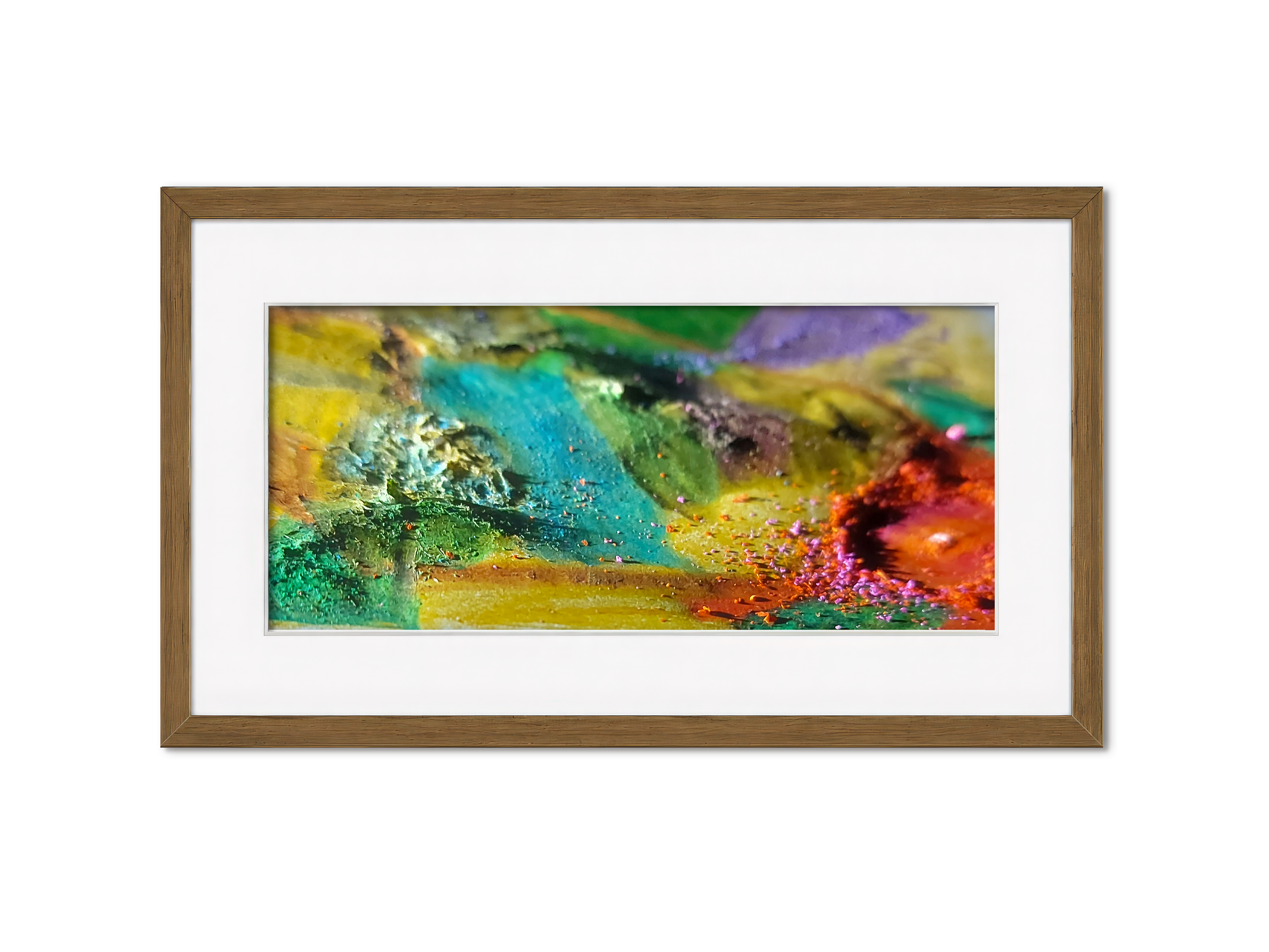Framed Reef Archive (PV09) – Limited Edition Nature inspired Giclée- PureHue