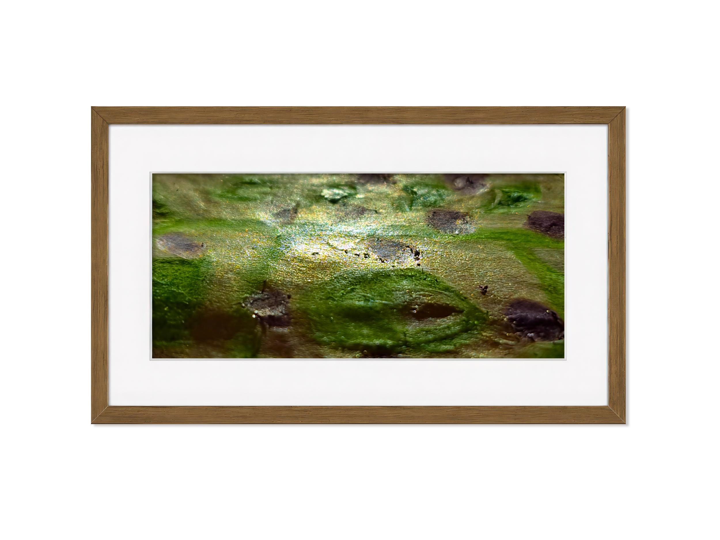 Framed PT15 The Quiet Meadow – Edition Nature inspired Giclée- PureHue