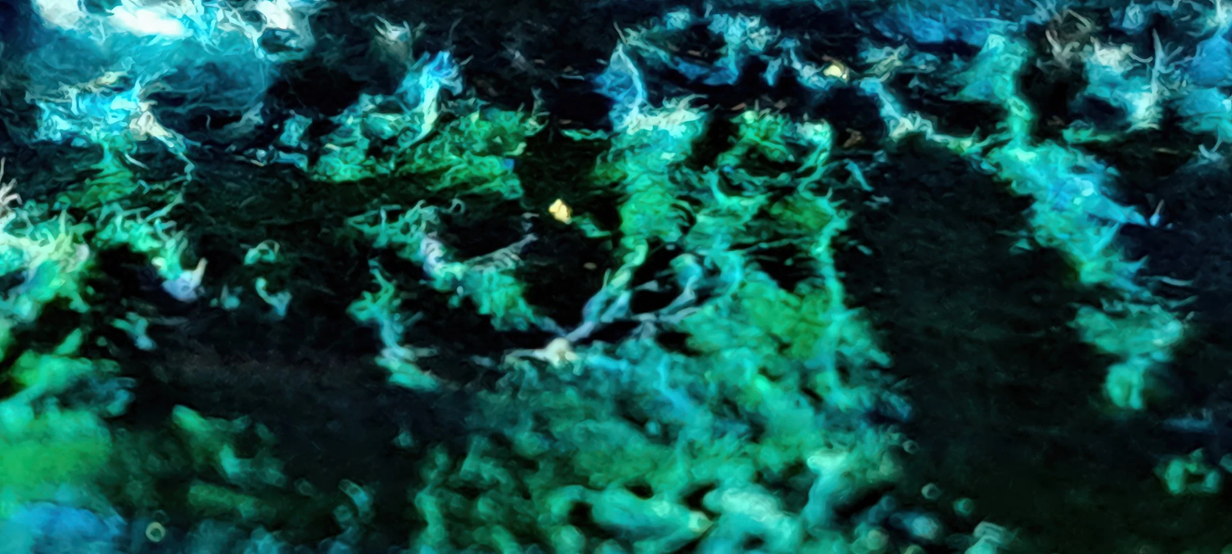 Nocturnal Canopy (PV06)– Limited Edition Nature inspired Giclée- PureHue