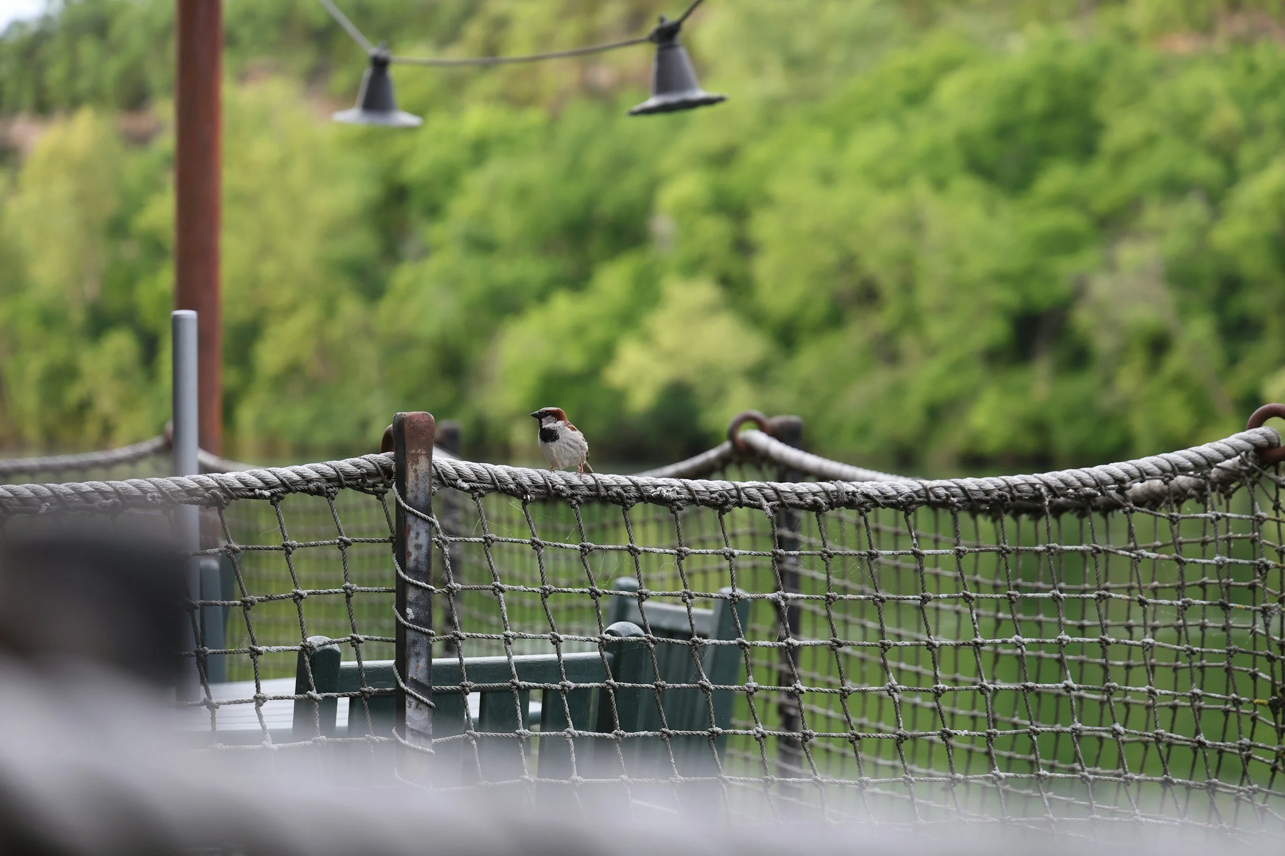 Cost of Living in Branson, MO: What Renters Should Expect in 2026