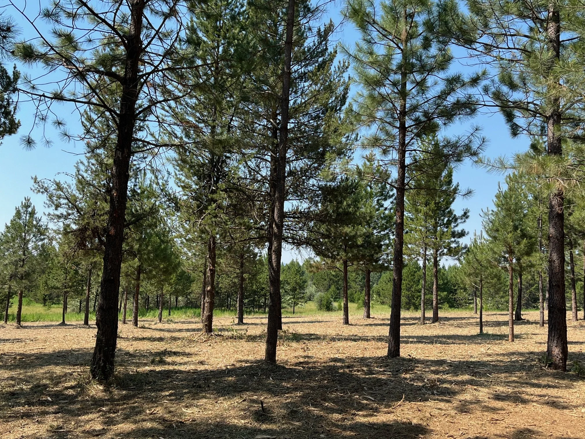 Cost Share Projects for Landowners