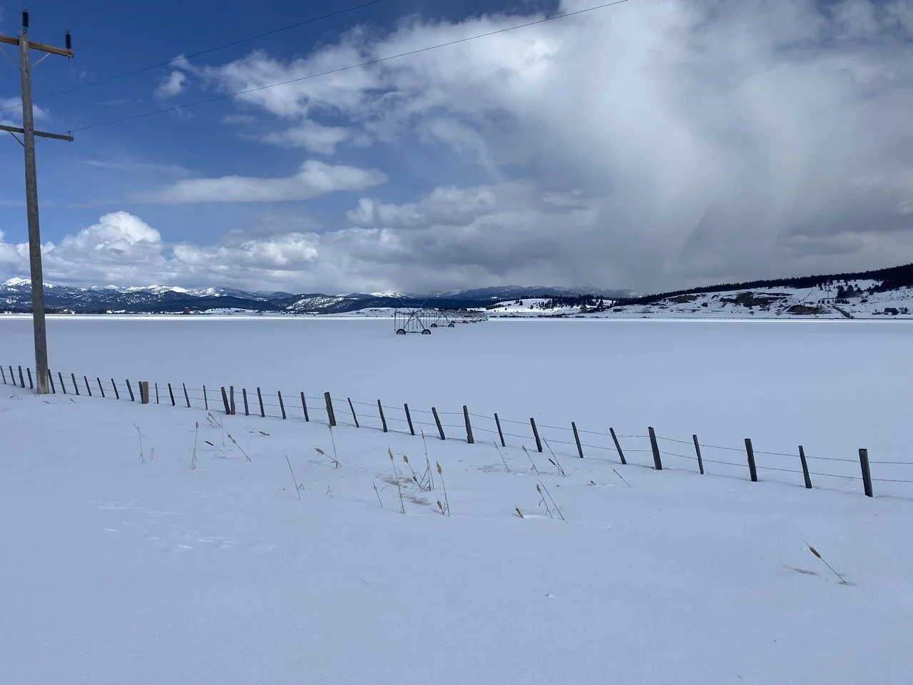 Philanthropy Northwest Thriving Communities Grant