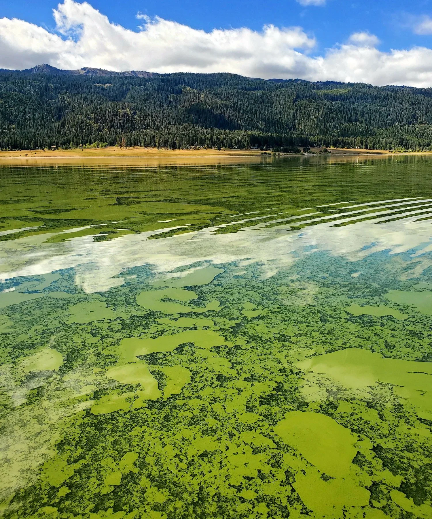 Water and Soil Tests