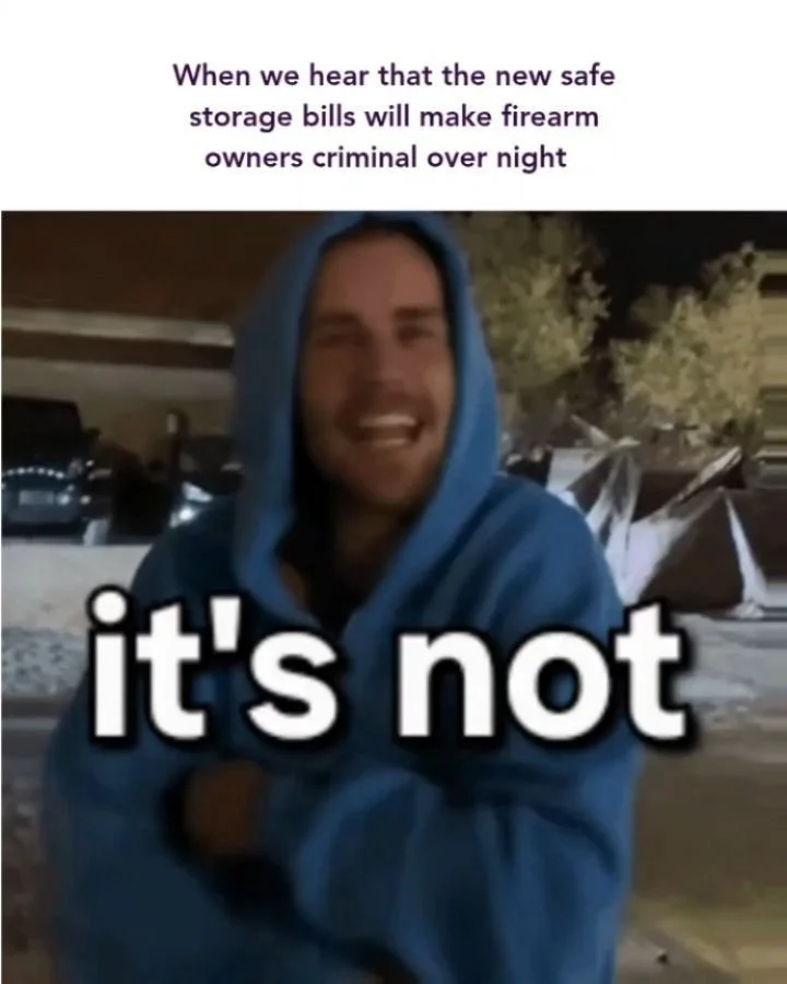 No, the new safe storage law coming won't make all g*n owners criminals on July 1. We've got a handy flow chart to see if it will affect you. Simply stated, if you have a minor or a person who is not allowed to possess a g*n in your home, you need to