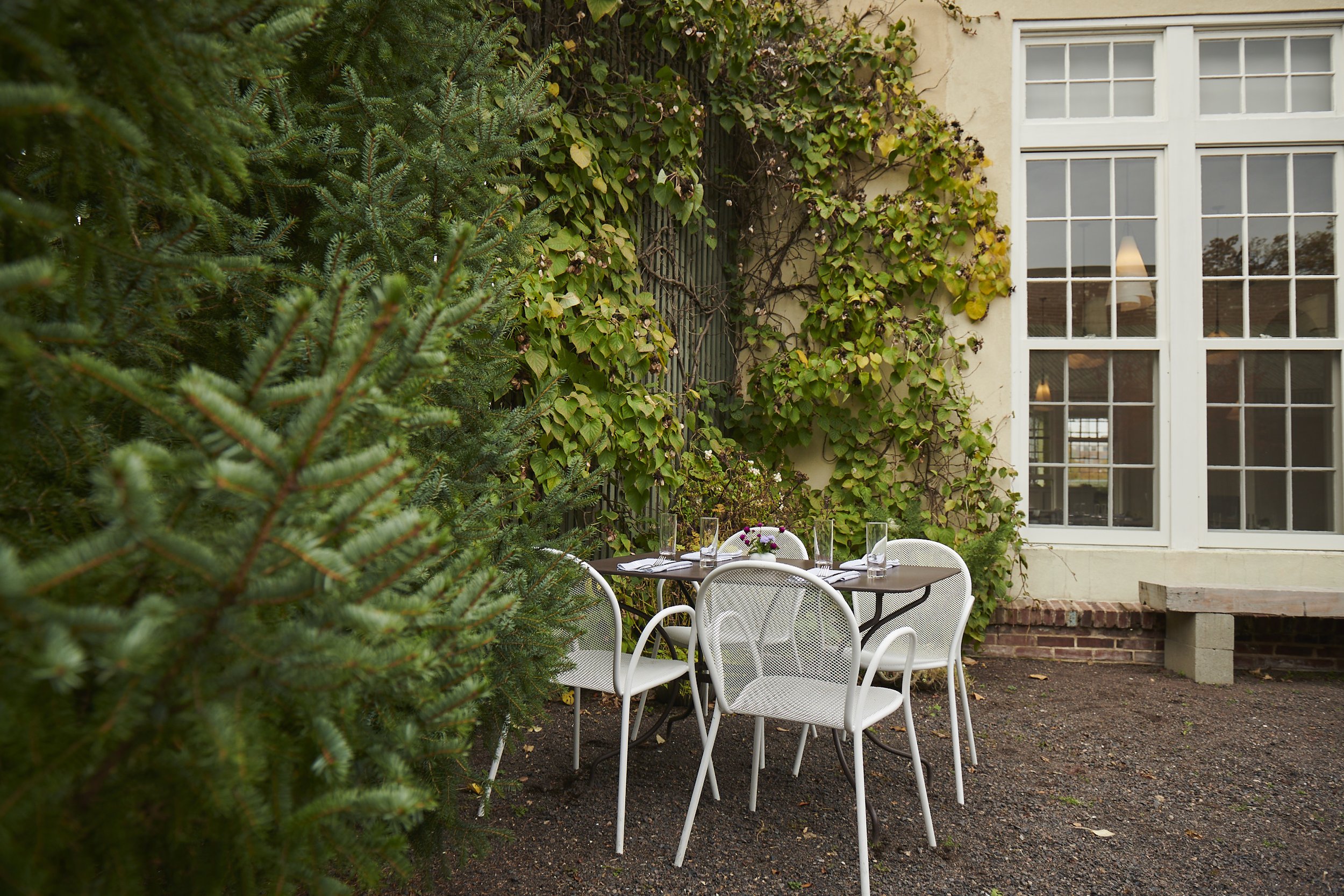 Outdoor dining table surrounded by greenery and ivy-covered wall.