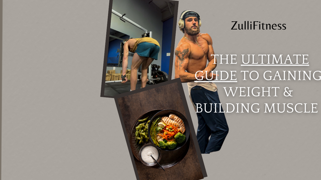 Zulli's Muscle Building Manual