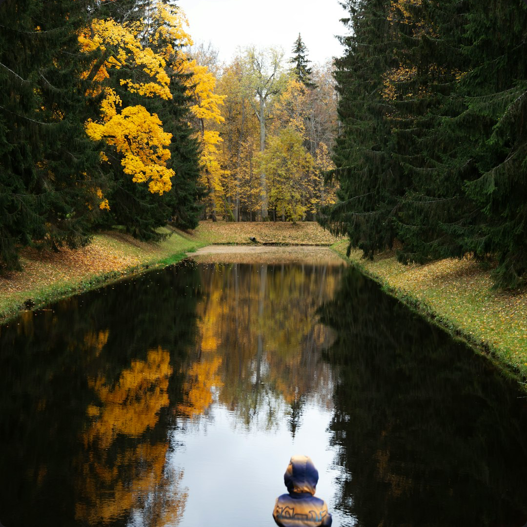 Starting Child Counseling