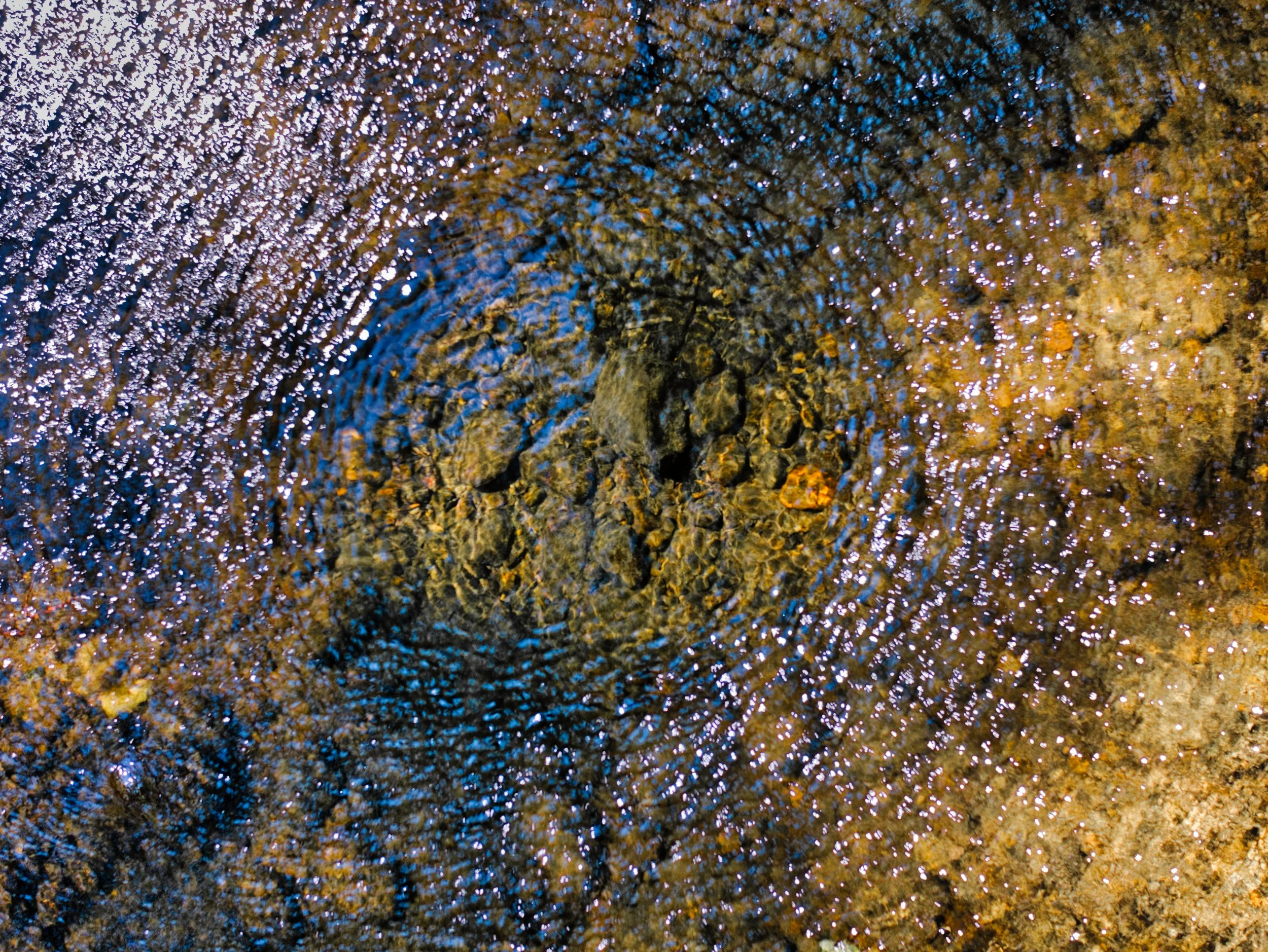 Rings - Prints from $18.00