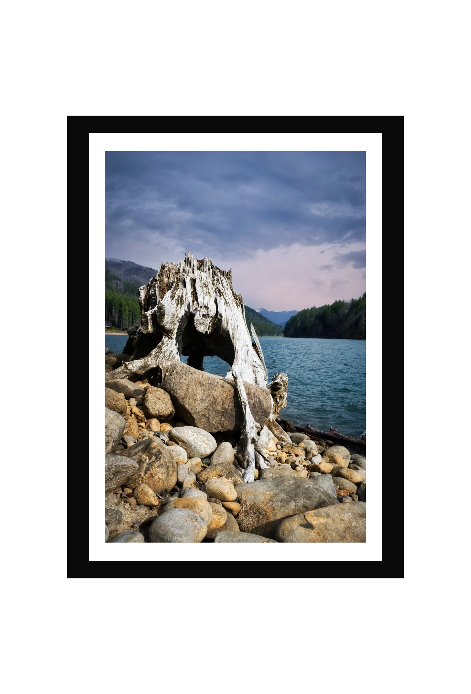Roots small framed scaled.jpg