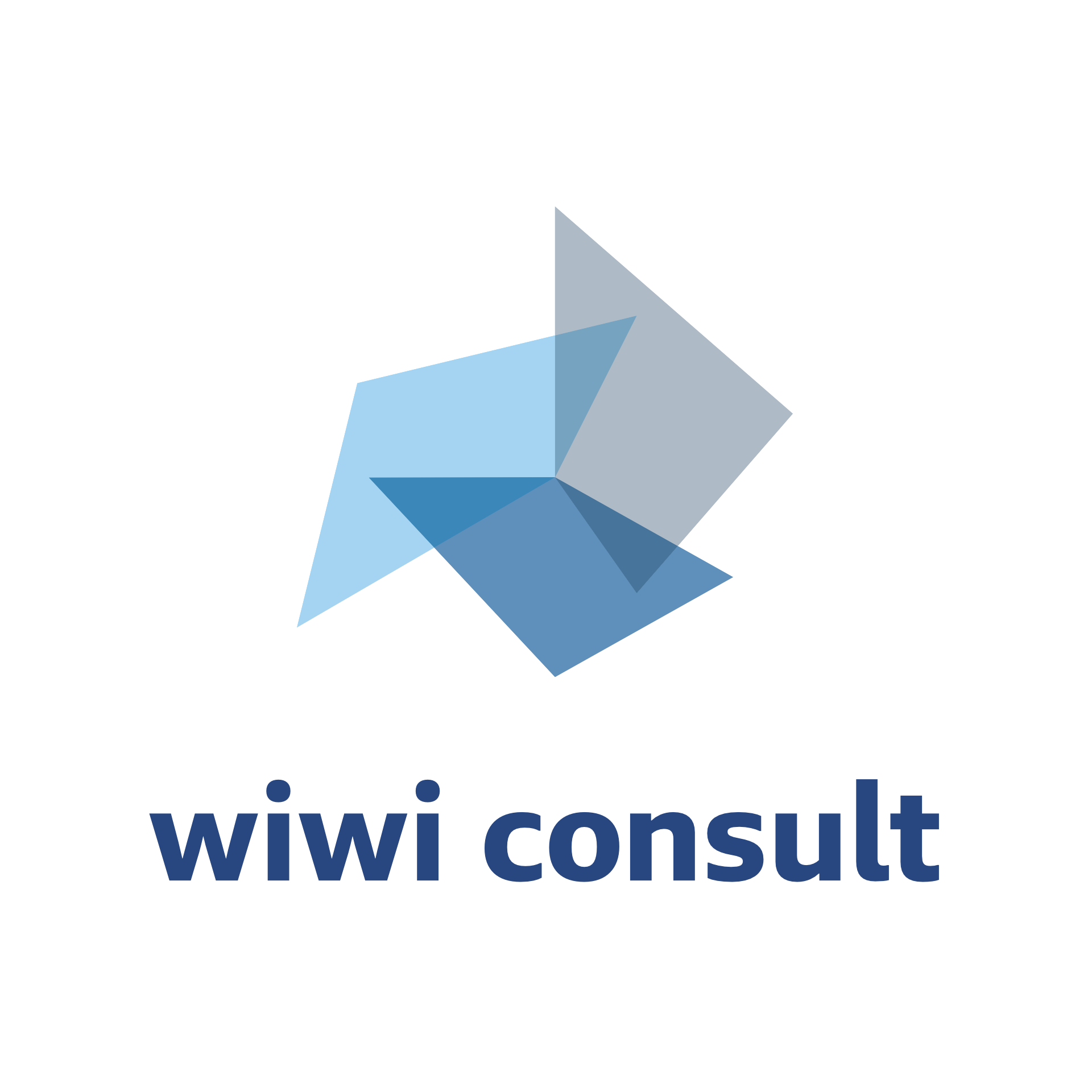 Wiwi Consult