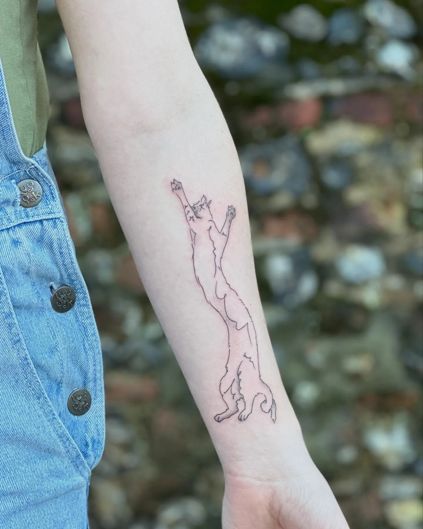 Looooooong cat for Emily, who visited me for the first time this morning ☺️ These silly stretchy curly cats are some of my fave flash, can&rsquo;t wait to do more of them!

#norwichtattoo #norwichtattooartist #cattattoo