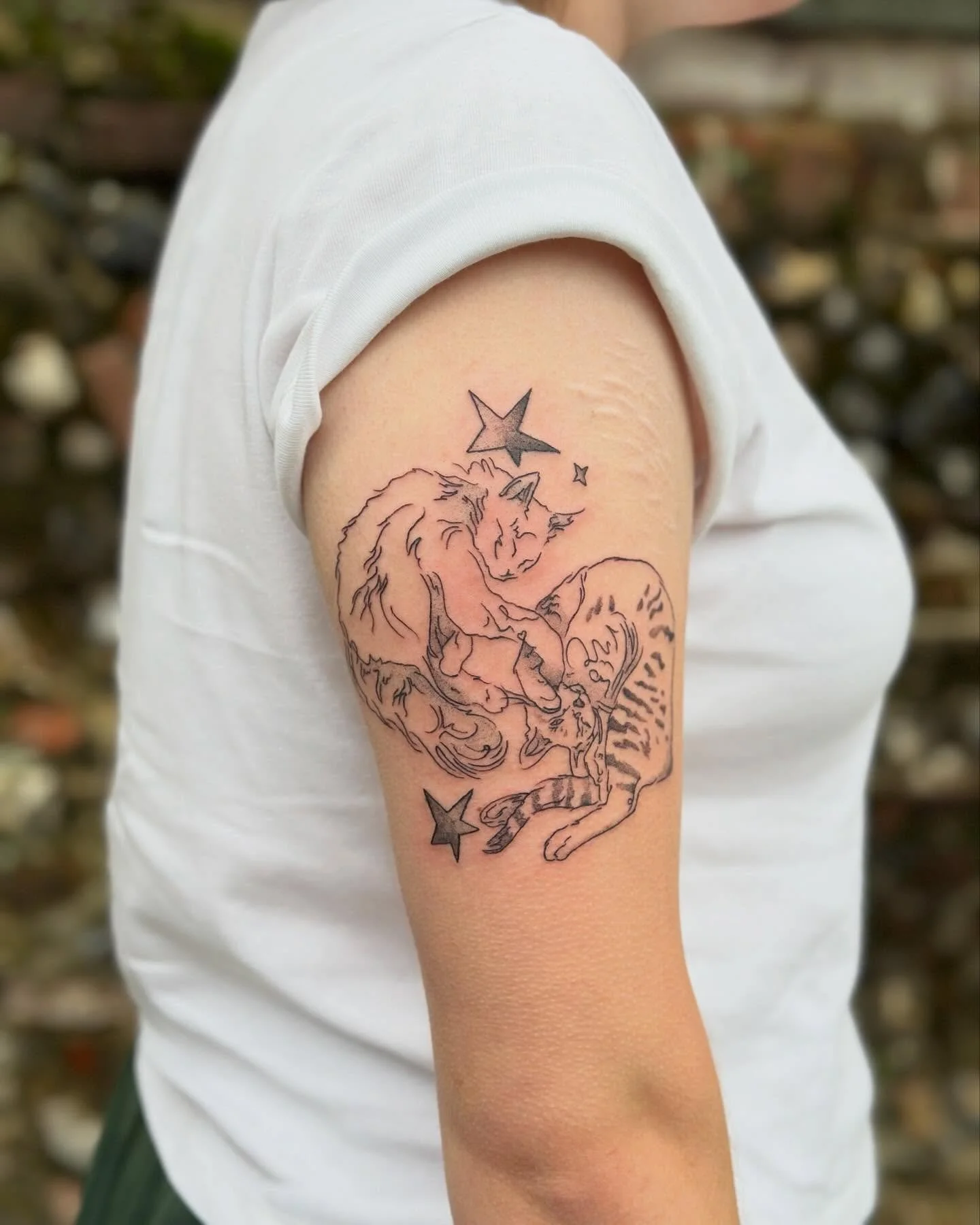 Lucy and Loki 🐈🐈&zwj;⬛ Loved capturing these kitties playing! A first tattoo for Hanna, and my last one of the year. Thank you to everyone who&rsquo;s been to visit me for my first year at my new studio 🧡 You&rsquo;ve been incredible, and I love w