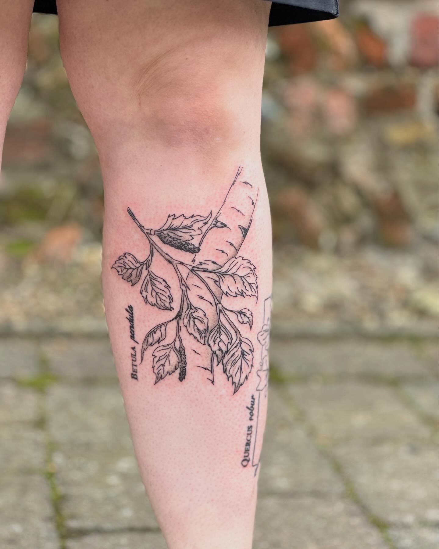 Fresh silver birch leafy branch and bark for Martha, to go with the healed English oak from last month 🌳
Loved adding another piece to Martha&rsquo;s growing leg sleeve of botanical tattoos. See you again at the new studio!

#silverbirch #toughtomat