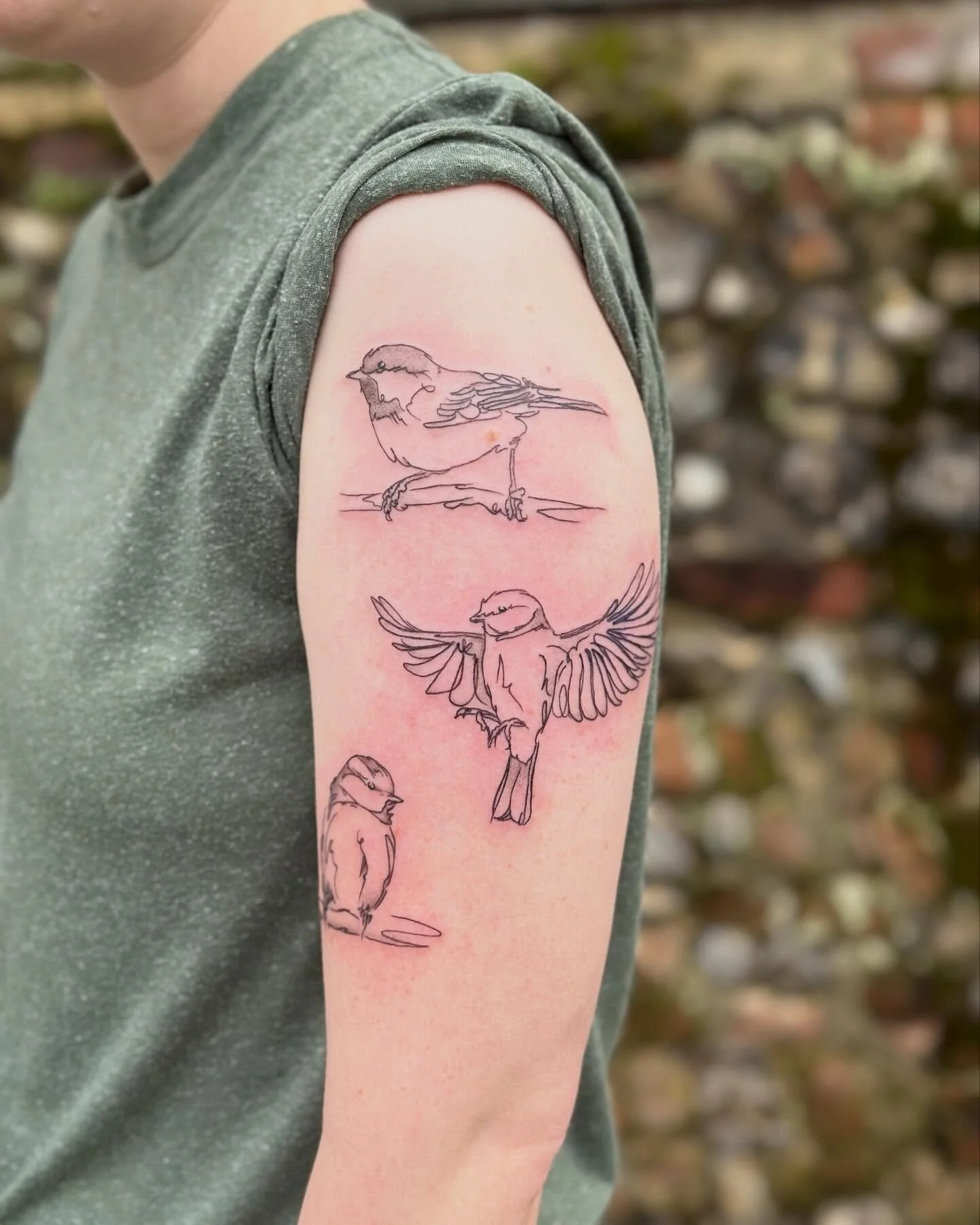 The wonderful Emily visited me from Exeter today for these Blue Tits and a Coal Tit. We chatted about DnD (technically Pathfinder as I learned), climate science, about Emily&rsquo;s phD on a weirdly shaped fossil (precursor to a beetle) and also abou