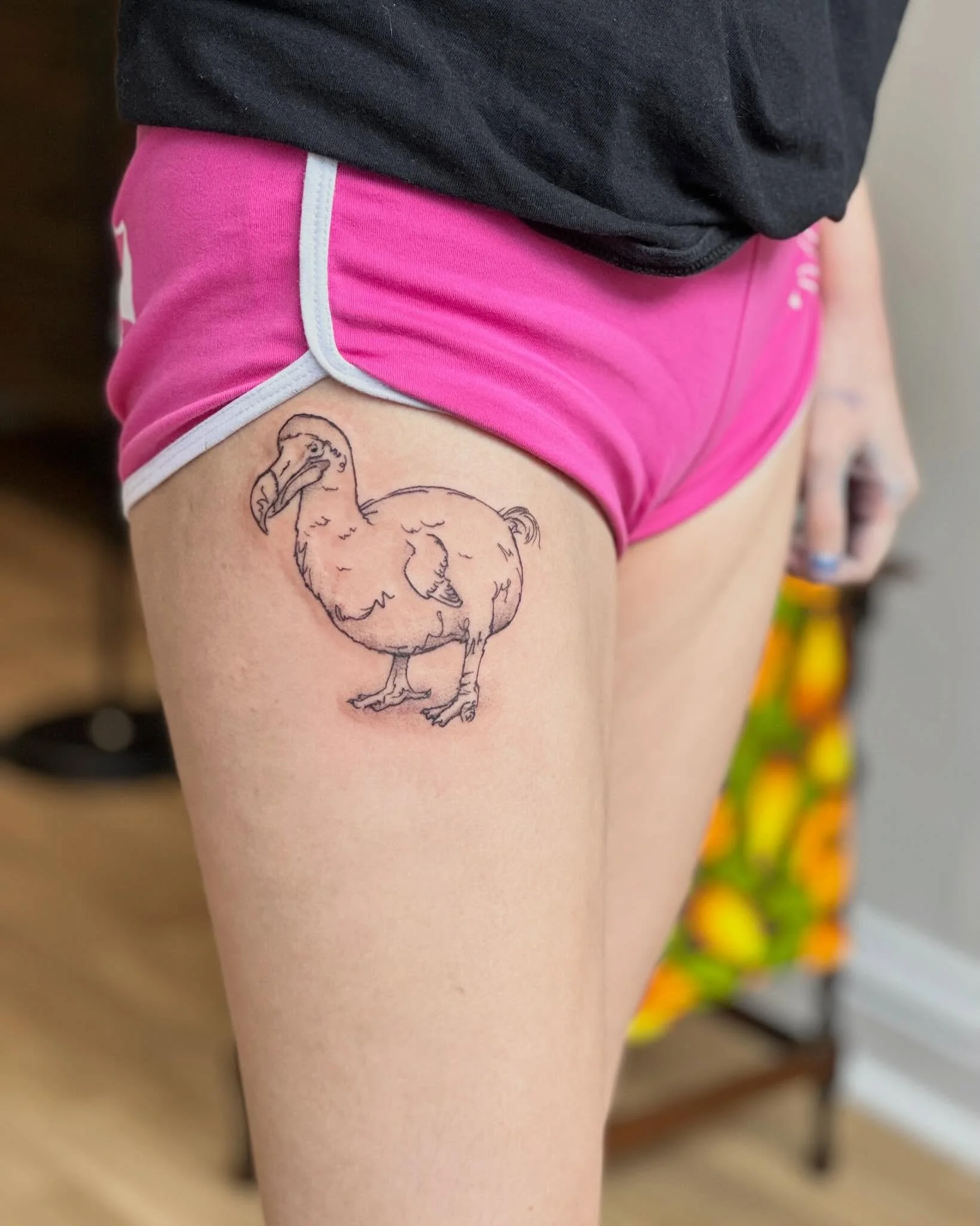 Scruffy dodo for Robin! Celebrating Mauritius with the world famous, almost mythical, extinct bird 🦤. Did you know the dodo was a type of pigeon? So much fun, thank you for this awesome project and your lovely company!