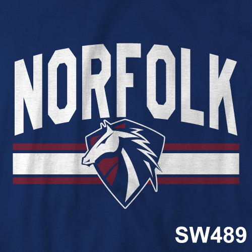 SW489.png