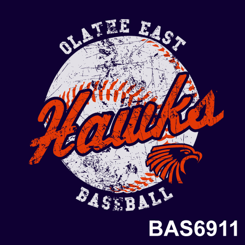 BAS6911.png