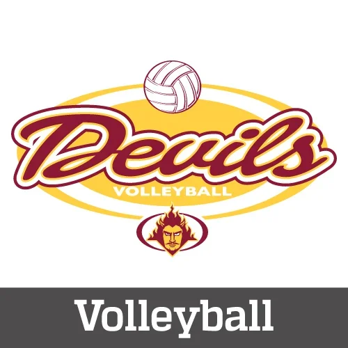 Volleyball Designs