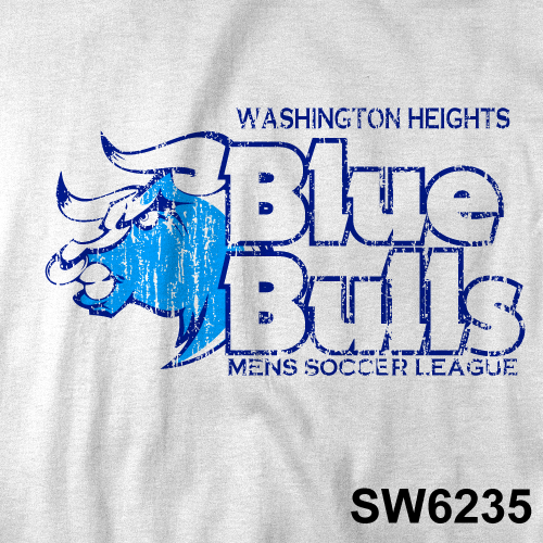 SW6235.png