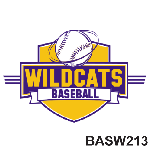 BASW213.png