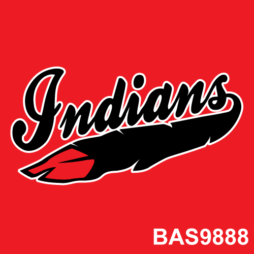 BAS9888.png