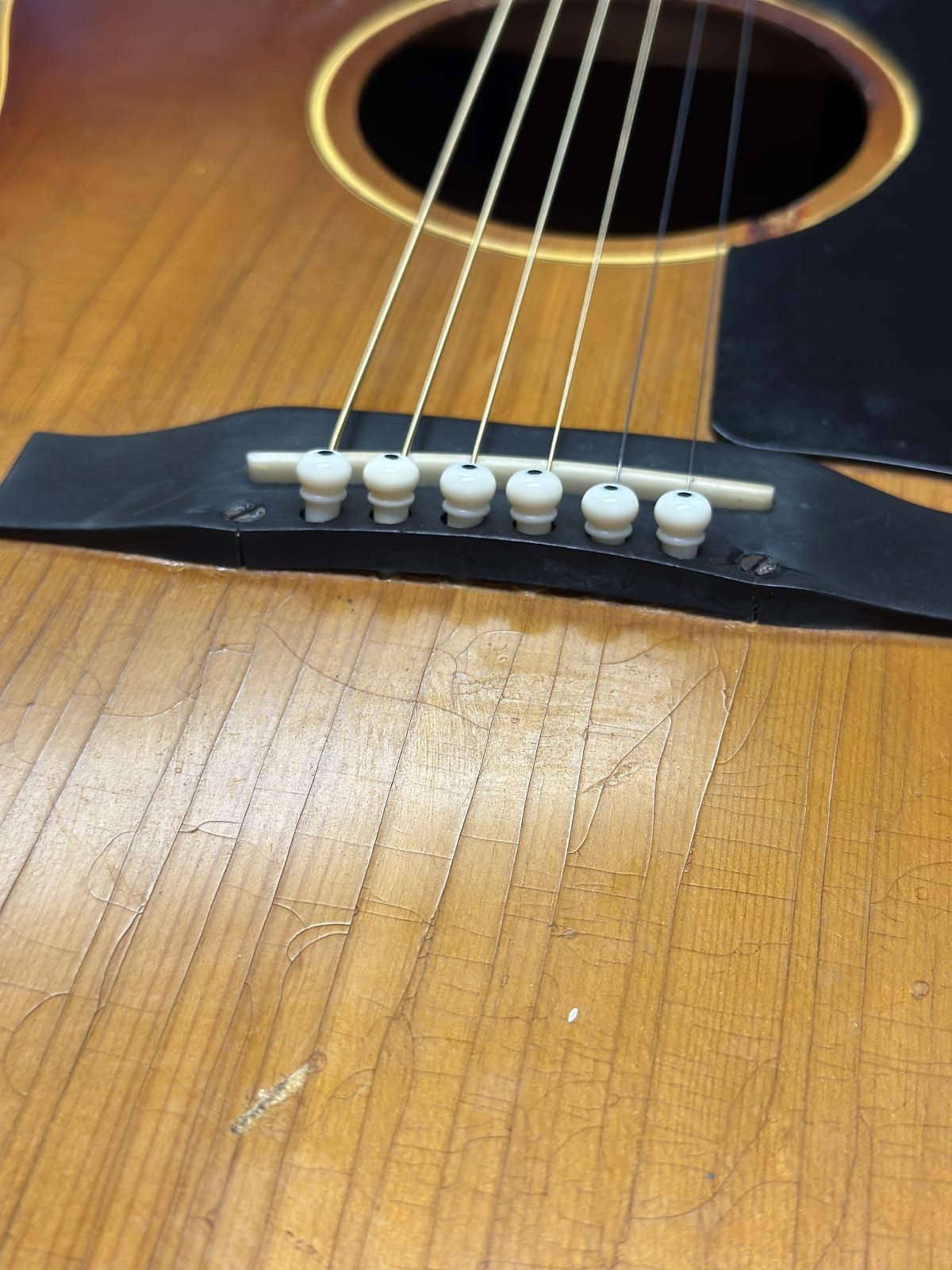 Image 1482.jpeg