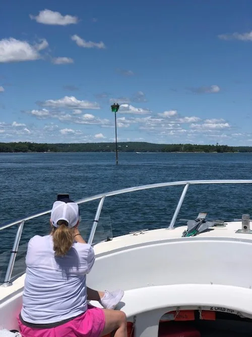 Woman Taking a Photo of an Osprey Nest