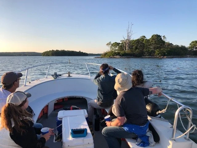 People on boat looking at eagles on a Miane Island