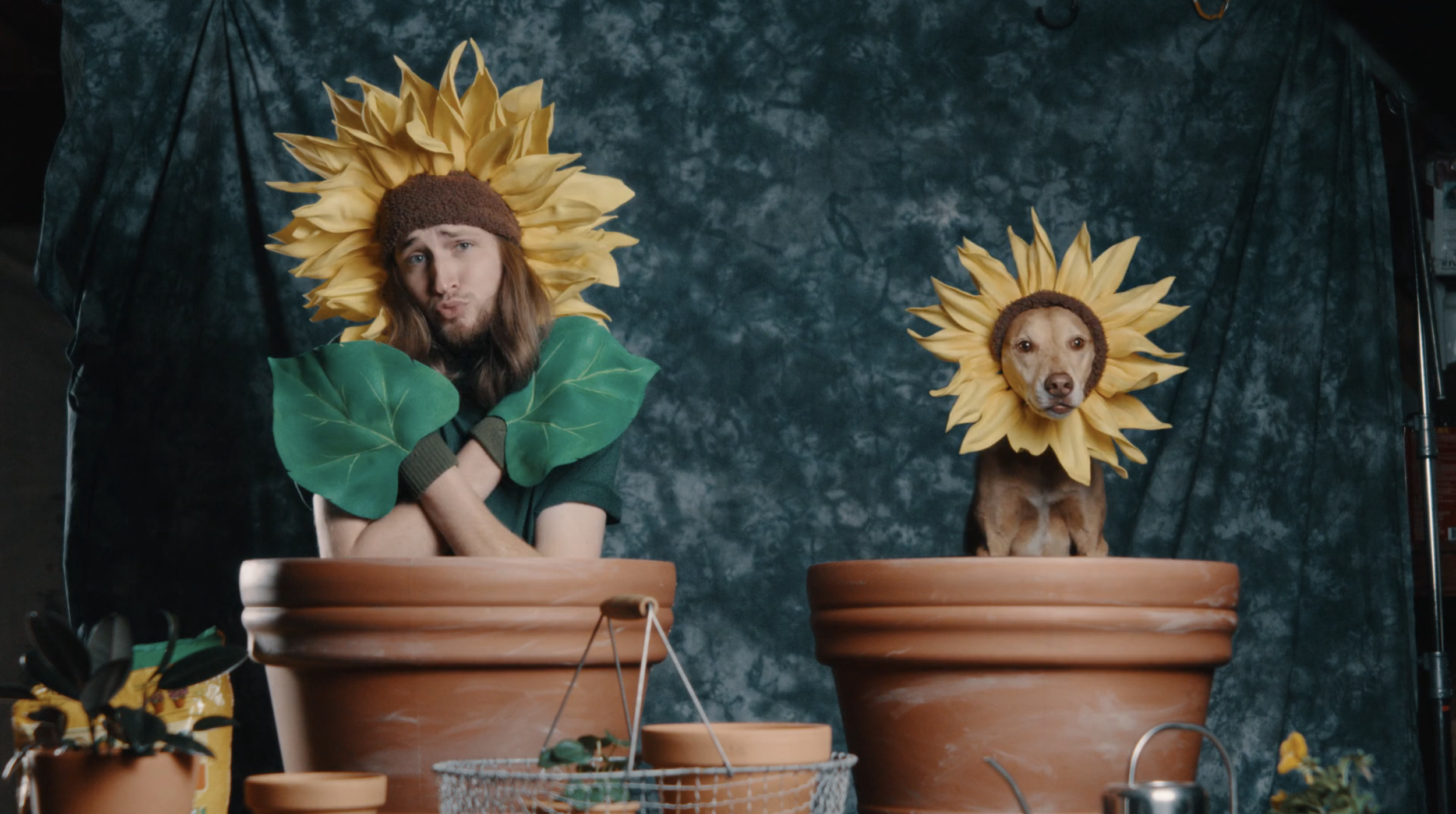 A man and a dog wearing sunflower costumes with large sunflower petals around their faces, sitting in large terracotta flower pots against a dark backdrop, surrounded by gardening supplies.