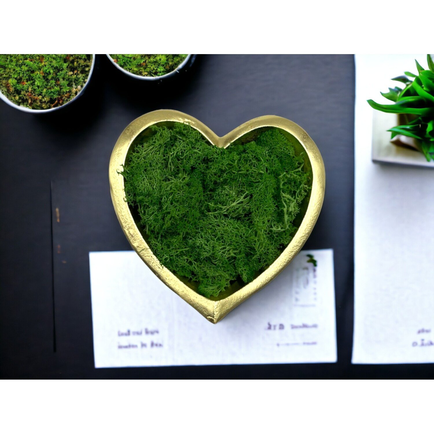 3_Preserved-Reindeer-Moss-in-Multiple-Colors.jpg