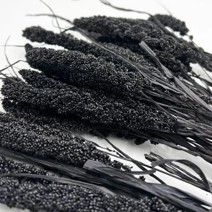 Bundle of 4 Dried Preserved Millet Flower 21