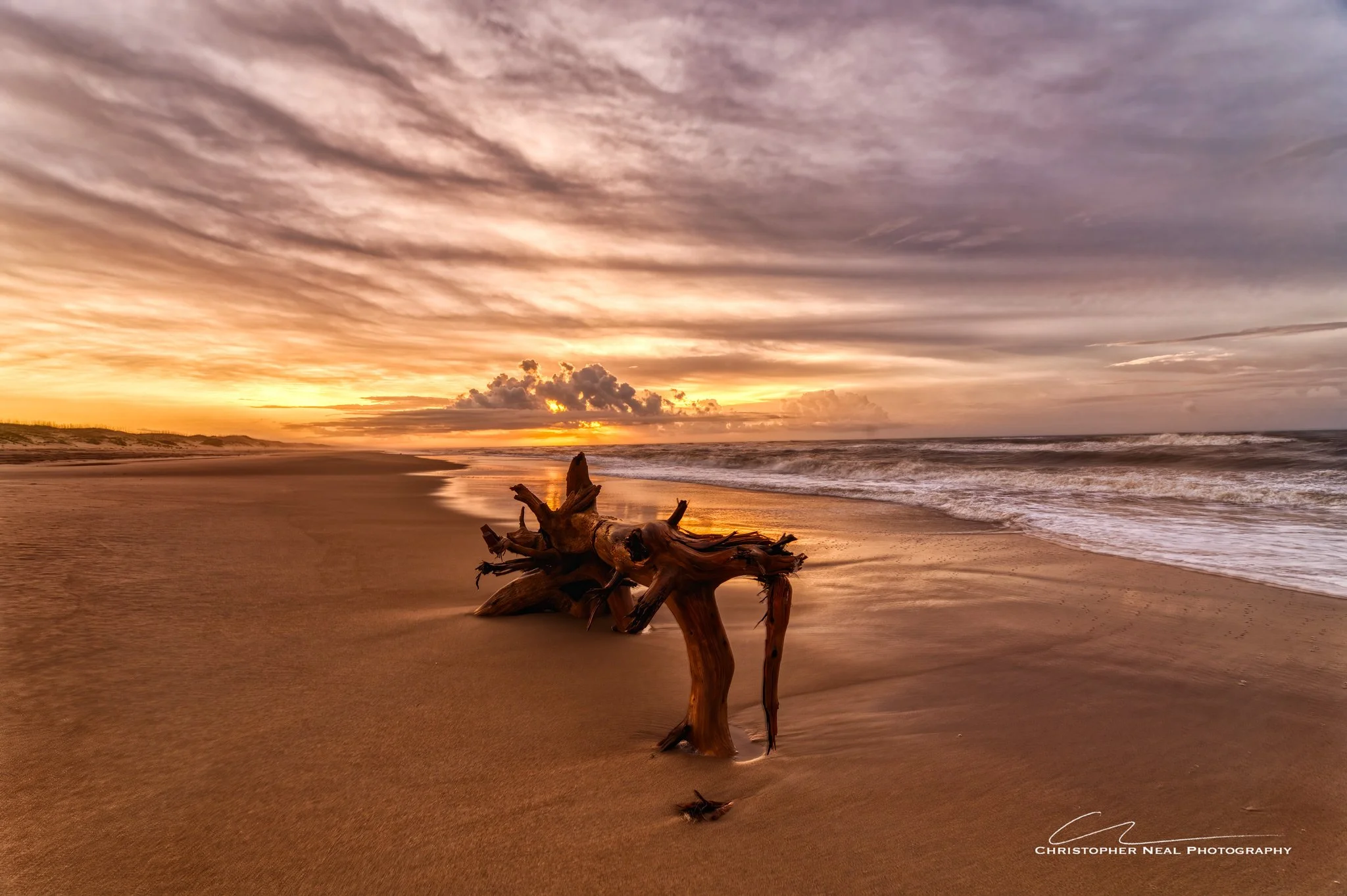 A beach at sunset with a driftwood piece on the sand in the foreground, calm ocean waves, and a vibrant sky with orange, pink, and purple hues.