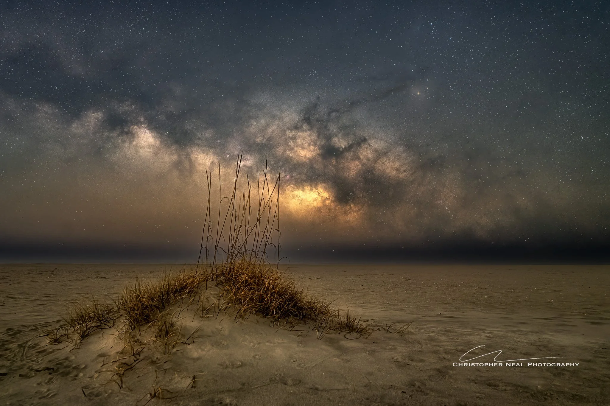 Dark Horse Dune - Pawleys Island, SC (2026)